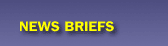 Link to News Briefs